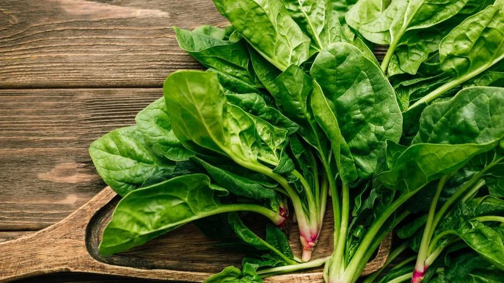 A Grade Spinach Oil