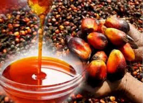 Cudapah seed oil