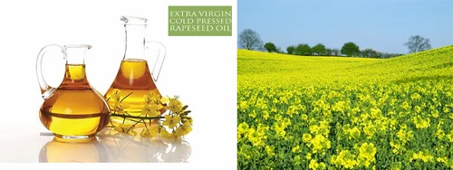 Rapeseed Oil
