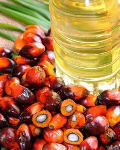 Palm Oil