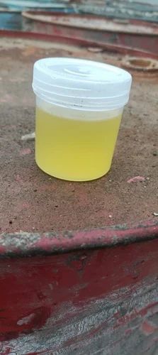 White Buffalo Tallow Oil