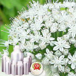 Onion Oleoresin