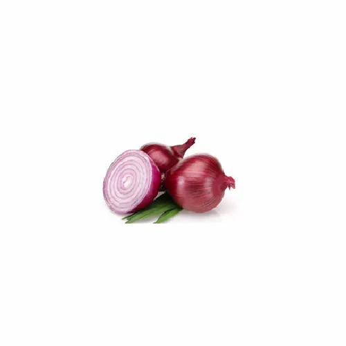 Onion Oleoresin