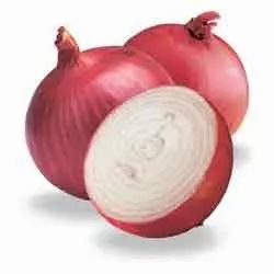 Natural Onion Oleoresin