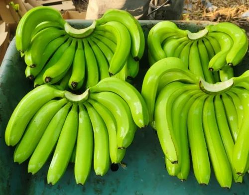 Fresh G9 Banana