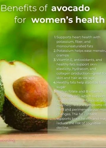 Fresh Avocado Fruit