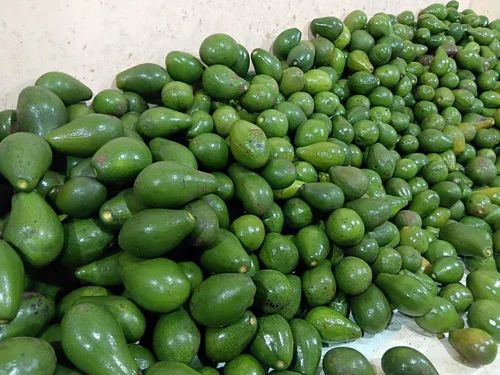 Avacado Organic Fruit
