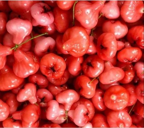 Rose Apple Fruit (5 Kg Carton)