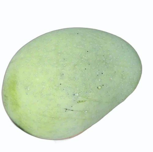 Banganapali Raw Mango