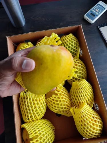 Alphonso Mango
