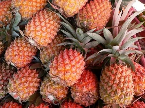 Fresh Queen Pineapples
