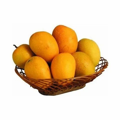 Fresh Kesar Mango Fruit