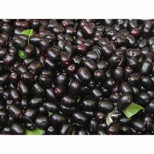 Frozen Kala Jamun Pieces