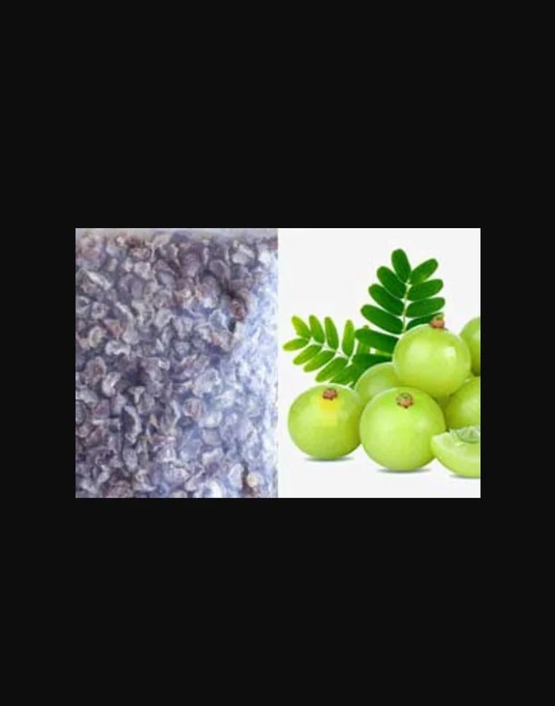 Amla Pulp