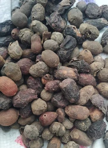 A Grade Dry Jamun Fruit, Packaging Type: Loose