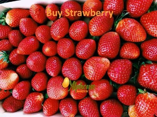 Mahabaleshwar Fresh Strawberry