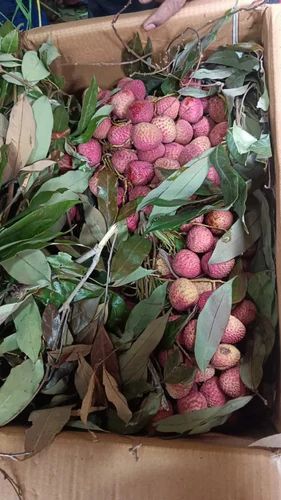 Fresh Litchi