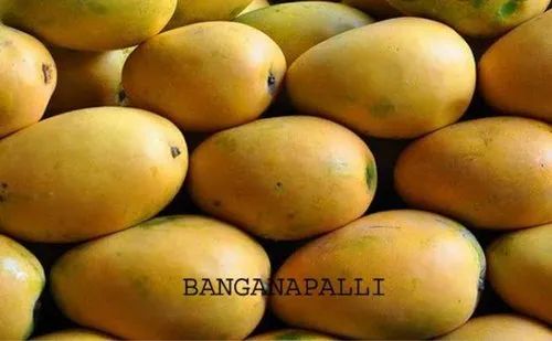 Banganapalli Mangoes