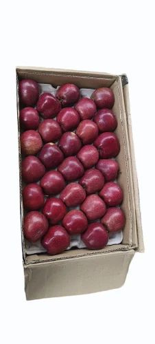A Grade Red Delicious Apple, Packaging Size: 25 Kg