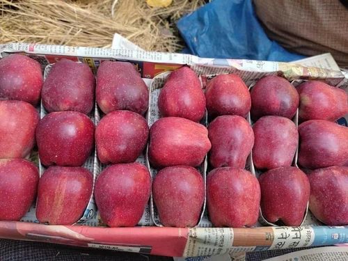 Kashmiri A Grade Fresh Kashmir Apple, Packaging Type: Wood Box, Kasmir