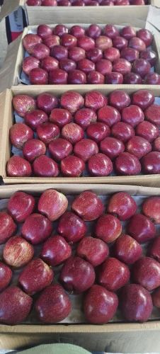 Fresh Apples From Himachal