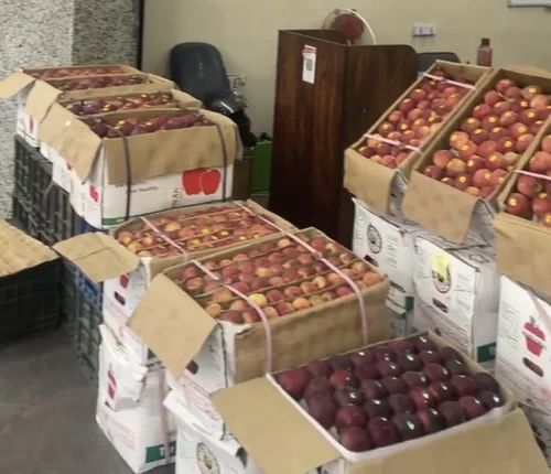 Kashmiri Fresh Apple
