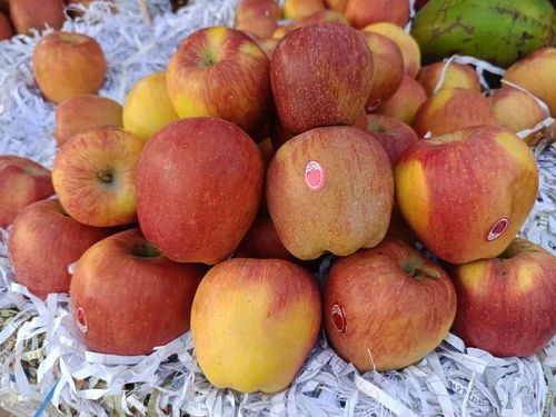 A Grade Kashmiri Apple
