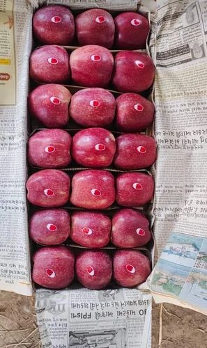 Fresh Apple