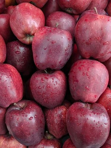 Fresh Red Delicious Apple