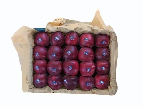 Fresh Apple Fruit
