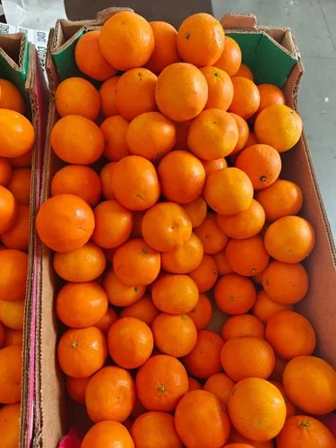A Grade Fresh Mandarin Orange, Packaging Type: Box, Packaging Size: Loose