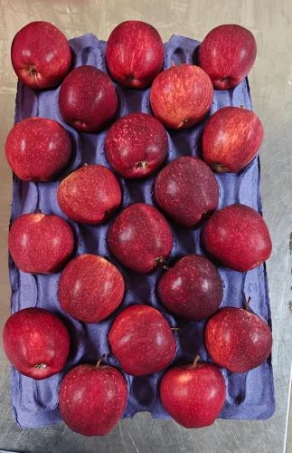 A Grade Fresh Red Chile Apple