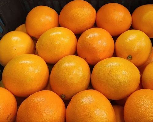 A Grade Fresh Egyptian Orange, Packaging Type: Box, Packaging Size: Loose