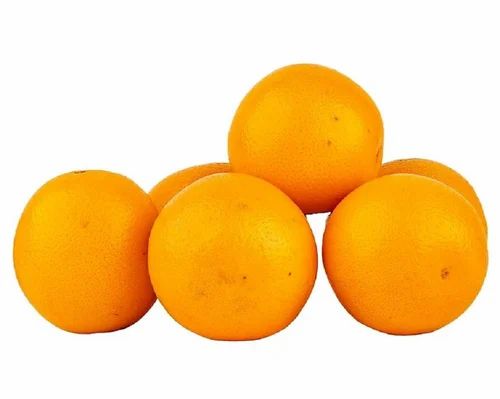 A Grade Fresh Valencia Orange, Packaging Type: Box, Packaging Size: Loose