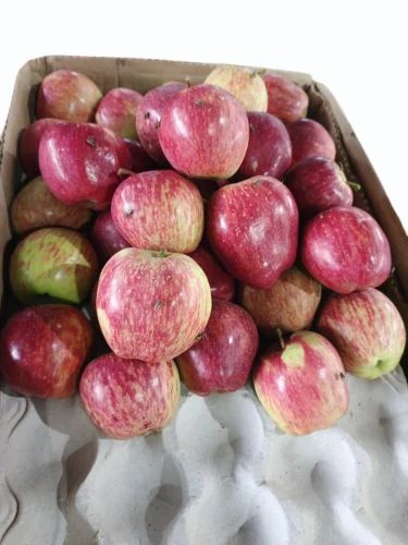 Red delicious A Grade Himachal Apple, Packaging Size: 18 Kg, Packaging Type: Carton