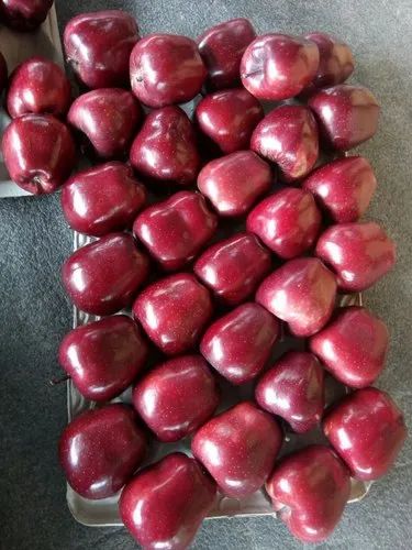 Shimla A Grade A Himachali Apple, Packaging Size: 20 Kg, Packaging Type: Carton