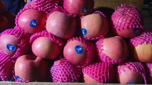 Fuji A Grade Apple Fruit