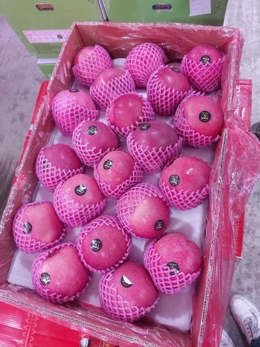 Fuji Apple