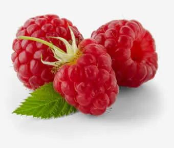 Raspberry
