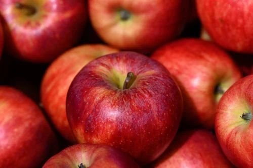 Fresh Red Fuji Apples