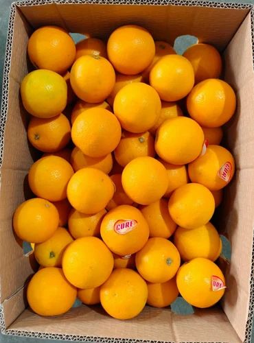 Fresh Egypt Orange Fruits