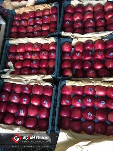 Iran A Grade Rose Apple, Packaging Size: 10 Kg, Packaging Type: Carton