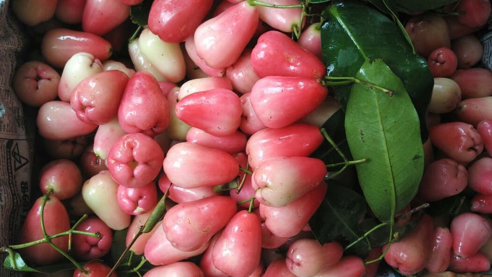 Rose Apple