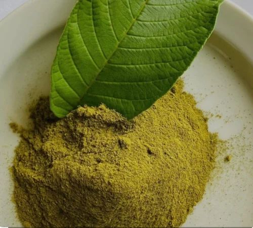Guava Leaf Extracts Powder, Pack Size: 5 kg, Grade Standard: Medicine Grade