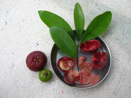 Kokum Powder