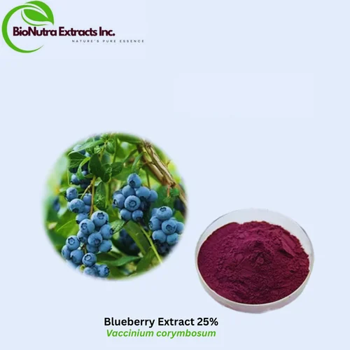 100% Blueberry Extract Powder