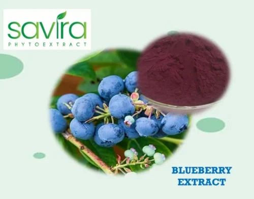 Blueberry Extract Powder