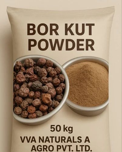 Borkut Ber Churna Powder