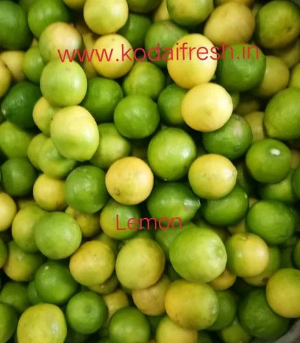 A Grade Tamilnadu Kodaikanal Fresh Yellow Lemon, Packaging Type: Gunny Bag