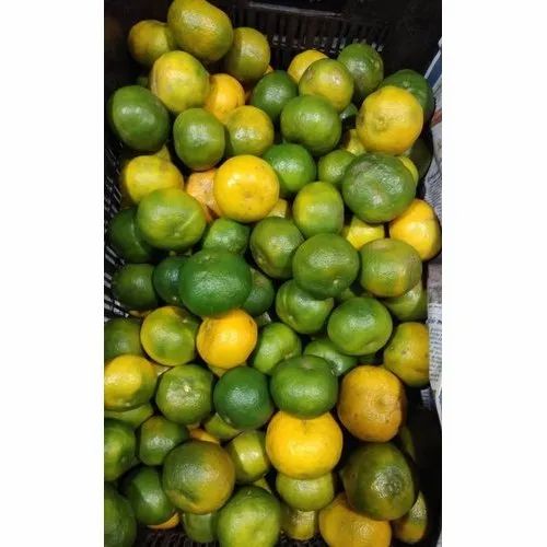 Tamil Nadu A Grade Organic Orange, Packaging Type: Carton